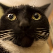 PaptainClanet - steam id 76561197970947594