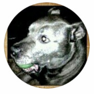 keyurtis - steam id 76561197960883463