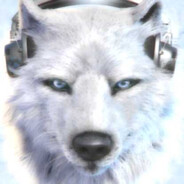 QuietFunkyWolf avatar