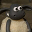 Mutton