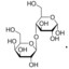 α-Lactose(aq)