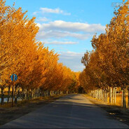 回首不见来时路