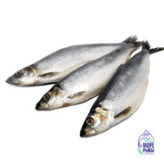 сори, чето я засолен