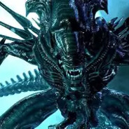 Xeno