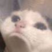 三里屯在逃手打牛肉丸