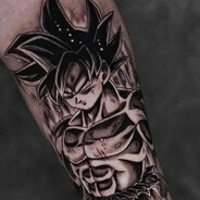 Pingwinek skins.army