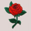 Roze's avatar