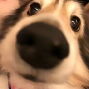 无敌螺蛳粉大王