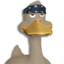 Quack Quack... Gangsta Duck...