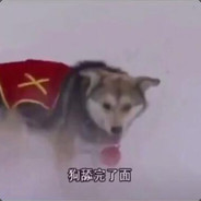 DOG舔完了面