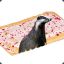 Badger Flavoured Poptarts