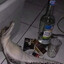 РЫБАЛБЕС