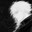 profiles