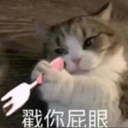 小区狂暴毛毛猫