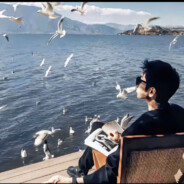 玫瑰少年的自由意志