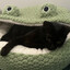 Jiji