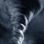 TYPHOON
