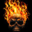 Skull In Flames︻︼ 一