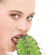 SexualCactus