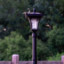 Lamp Post