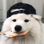 Milkyシャチ