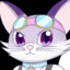 Linny Kitten Cat