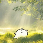 我是一只小猫咪喵喵喵喵喵