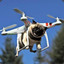 A_Flying_Pug