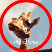 sfkpicturesbox