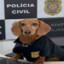 POLICIAL SALSICHA