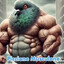 El Piccione Musculone