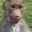 BISTECDEPERRO
