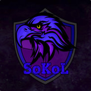 ☆SoKoL☆ - steam id 76561197963074343