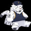TheWinterTiger