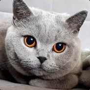 komputerowy gracz v2