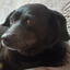 Kacperro2137