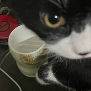 how to disappear completely