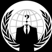 Anonymous271