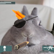 Punished Bun - steam id 76561197970236260
