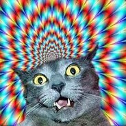 ✪ CATNIP