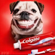 Colgate dawg Steam avatar