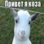 АБУБАЧИР ТРАХОВ