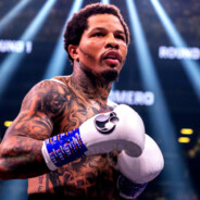 TISON PEEK WilkuTOkot