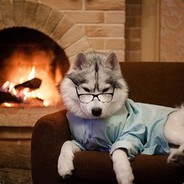 衣服包包给你换新的！