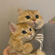 SuN # VerTical limIt