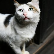 想学习都不给机会吗