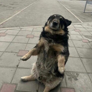 олевьешкин