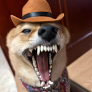 先救我他有对象