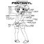 pervert chaser