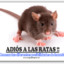 EL MATA RATAS